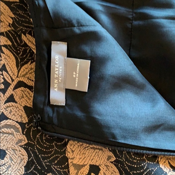 EUC Ann Taylor skirt sz 8P - Picture 4 of 8